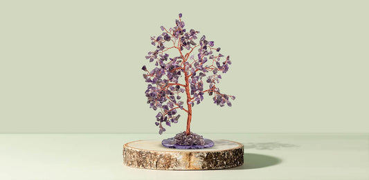 Amethyst Tree Benefits