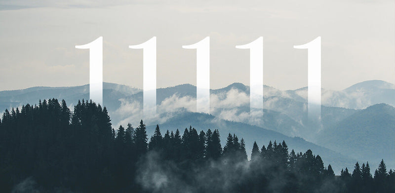 Angel Number 11111