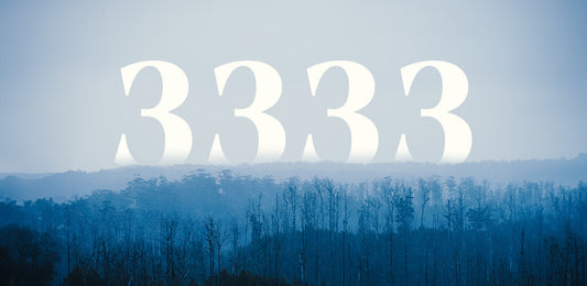 Angel Number 3333