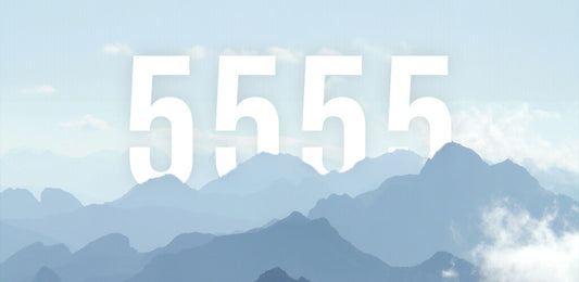 Angel Numbers 5555