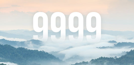 Angel Numbers 9999
