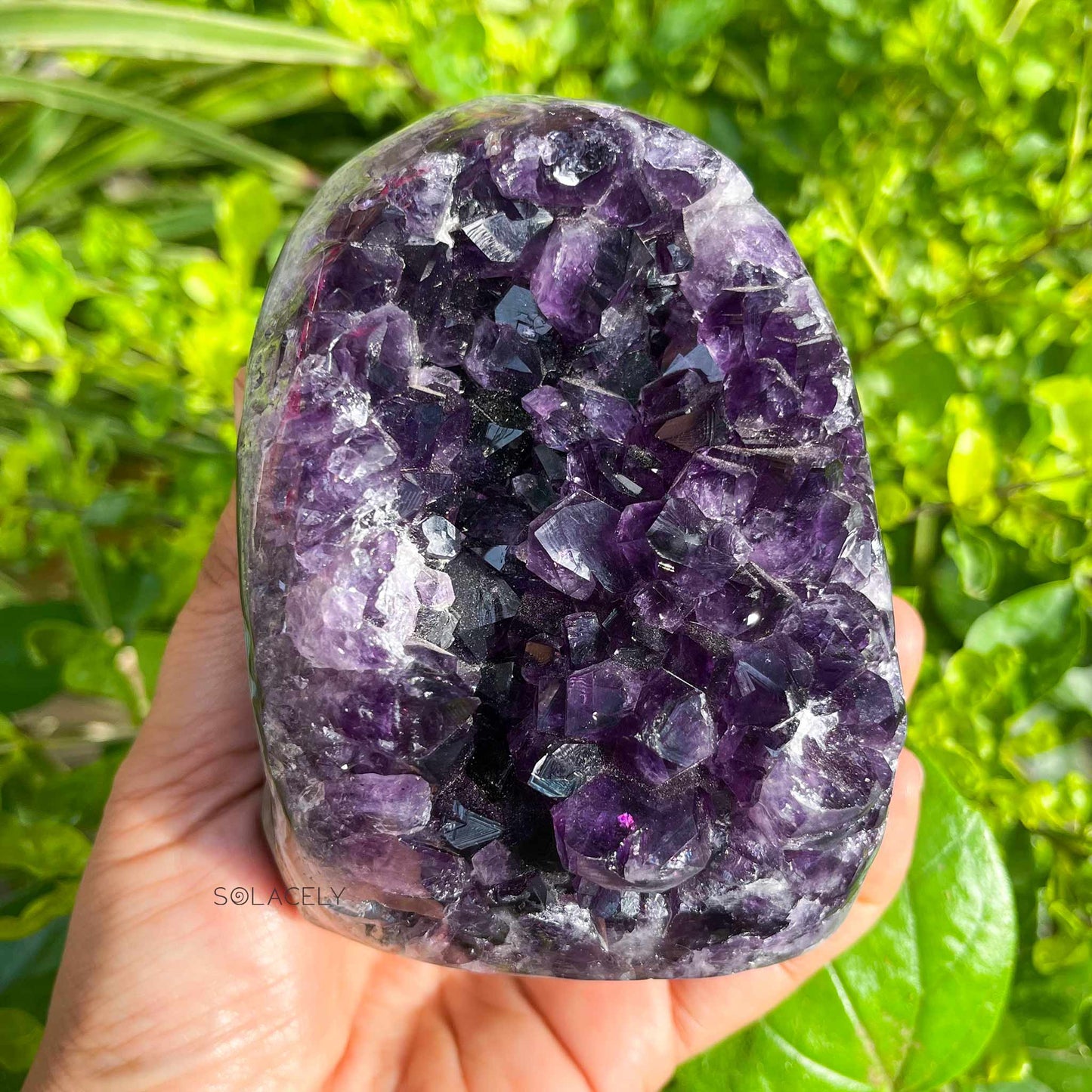 Brazilian amethyst geode 978g