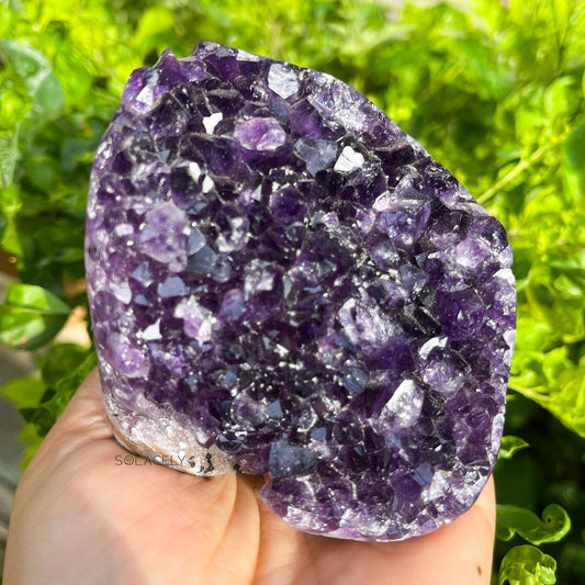 Brazilian Amethyst Geode