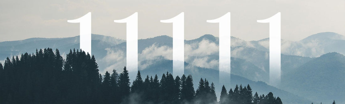 1111 angel number1