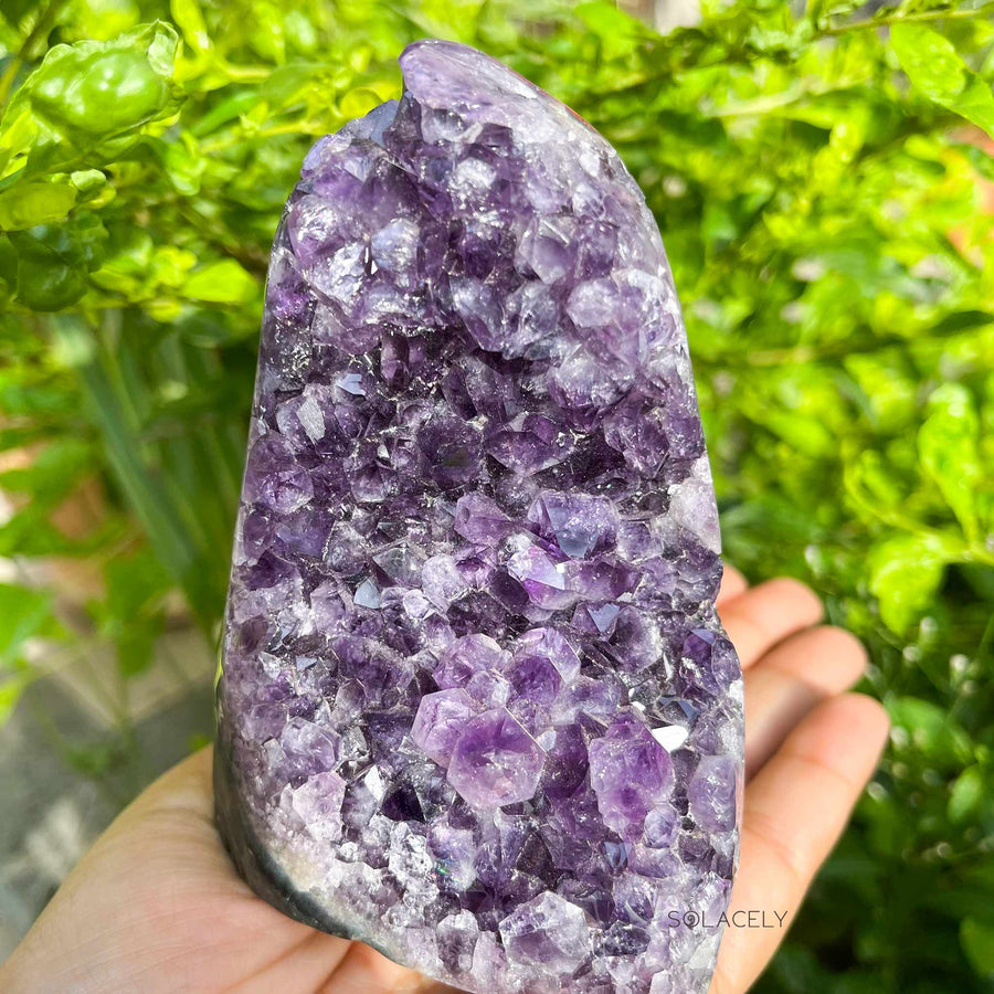 589g Brazilian Amethyst Geode
