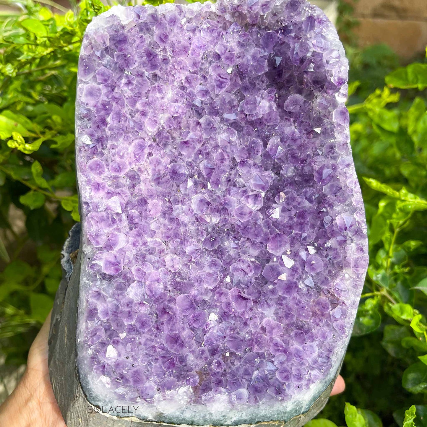 Natural amethyst crystal geode cluster
