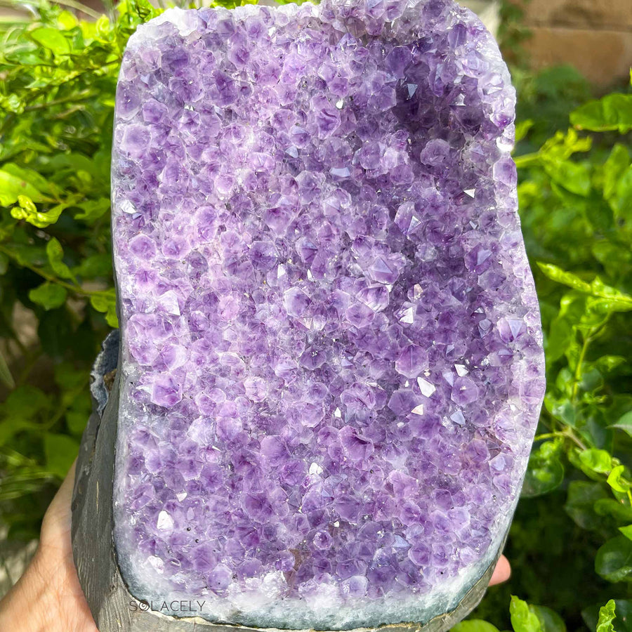 Natural amethyst crystal geode cluster