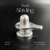 Parad Shivling (Mercury Shivling)