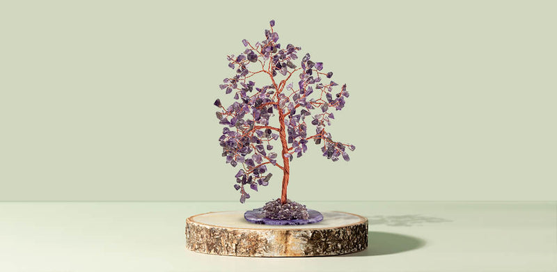 Amethyst Tree Benefits