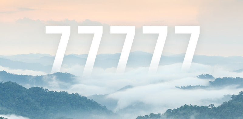 Angel Numbers 77777