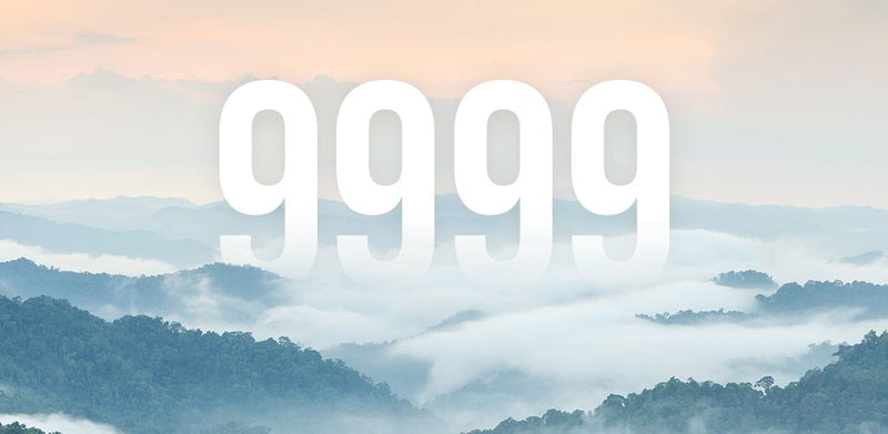 Angel Numbers 9999
