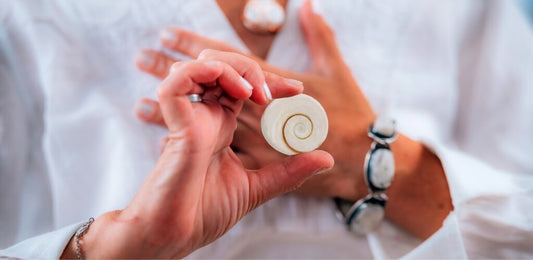 Gomti Chakra Meaning, Benefits, and Properties