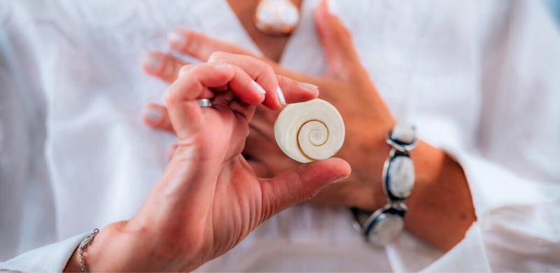 Gomti Chakra Meaning, Benefits, and Properties