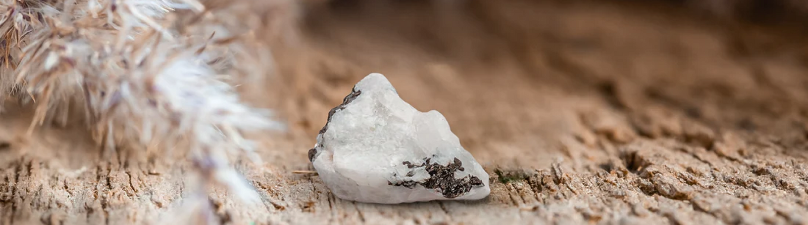 Natural moonstone crystal resting on weathered wood in soft lunar light