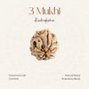 3 Mukhi Rudraksha
