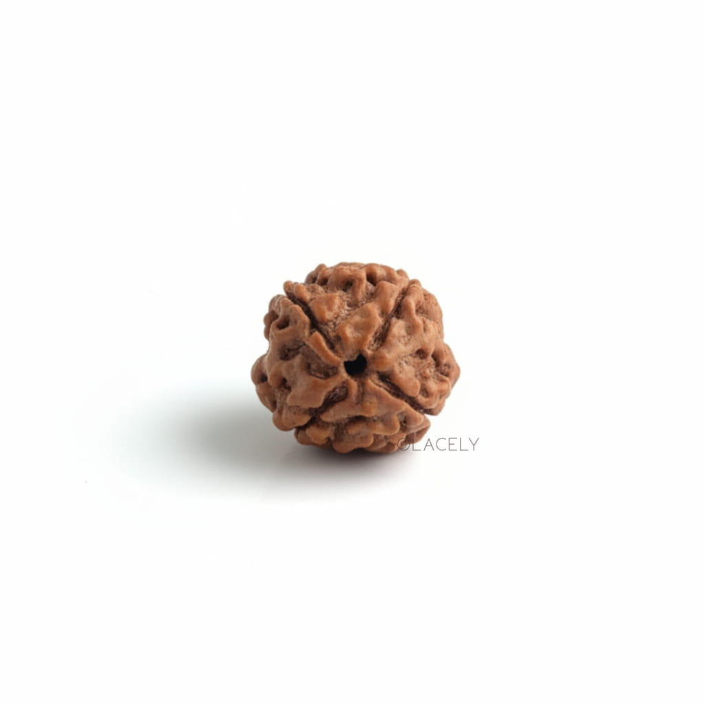 4 Mukhi Rudraksha