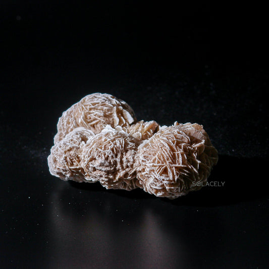 Selenite desert rose cluster on black background