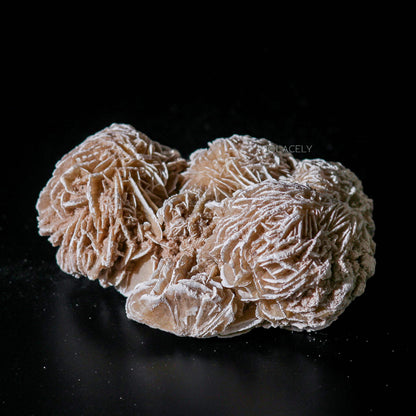 Selenite desert rose crystal cluster