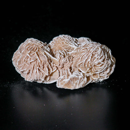 Desert rose selenite cluster mineral close-up look