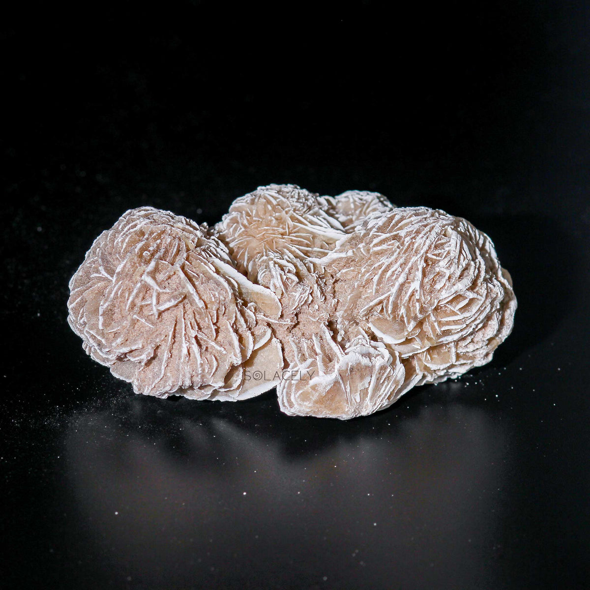 Selenite rose cluster with layered texture