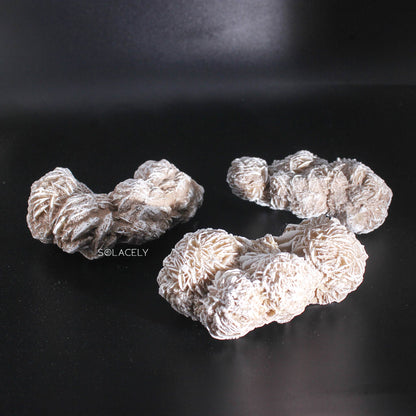Three Selenite desert rose cluster on Black background