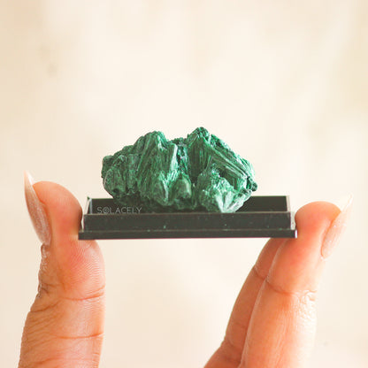 Fibrous malachite crystal on black base