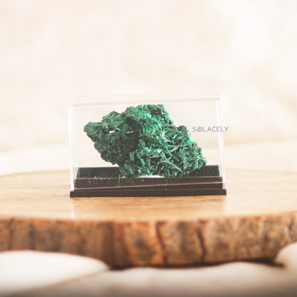 Fibrous malachite crystal in case