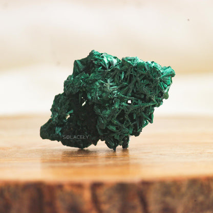 Natural Fibrous Malachite Crystal on wooden base