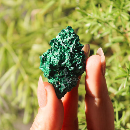 Fibrous malachite crystal with leafy background