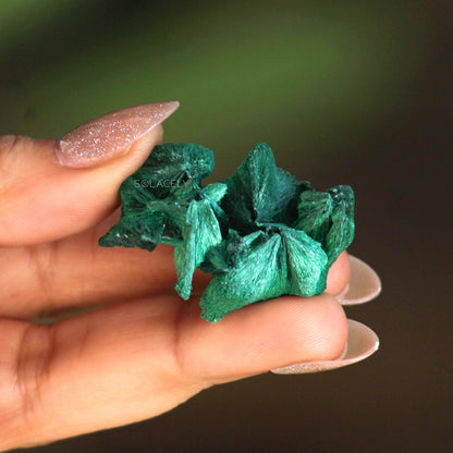 Hand holding fibrous malachite crystal
