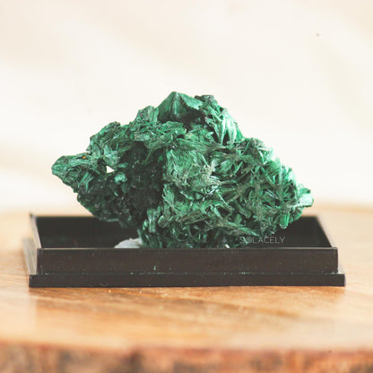 Raw Natural Fibrous malachite crystal on tray