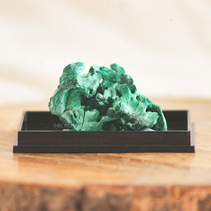 Fibrous malachite Crystal on black base tray