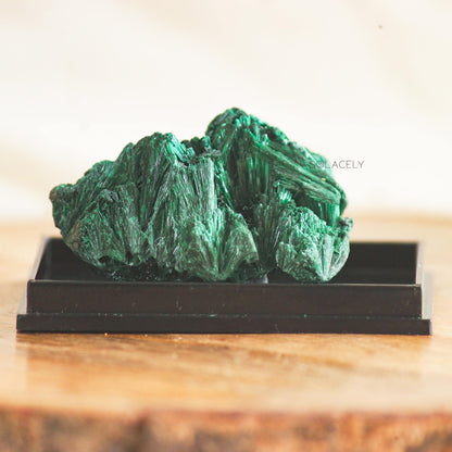 Natural Fibrous malachite Green Crystal on black base tray