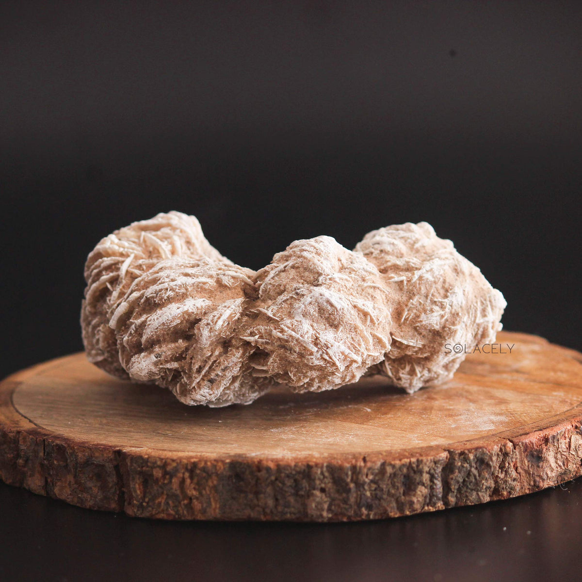 Selenite desert rose cluster on wood slab 