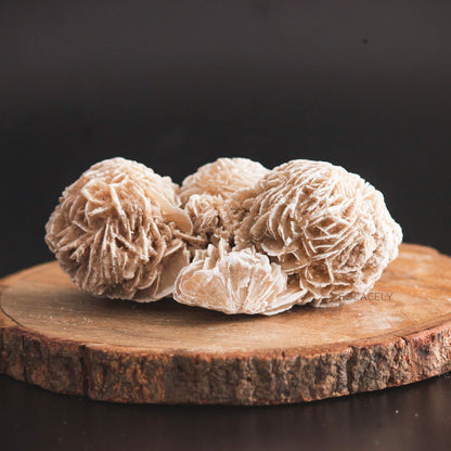 Beige desert rose stone on rustic wooden stand