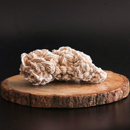 Selenite desert rose cluster on round wood slice