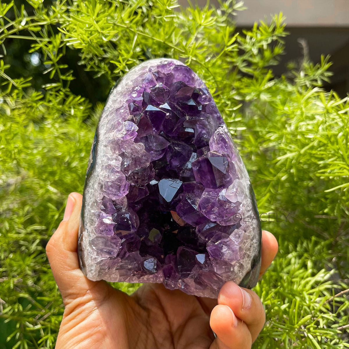 Uruguayan Amethyst Geode (880 g)