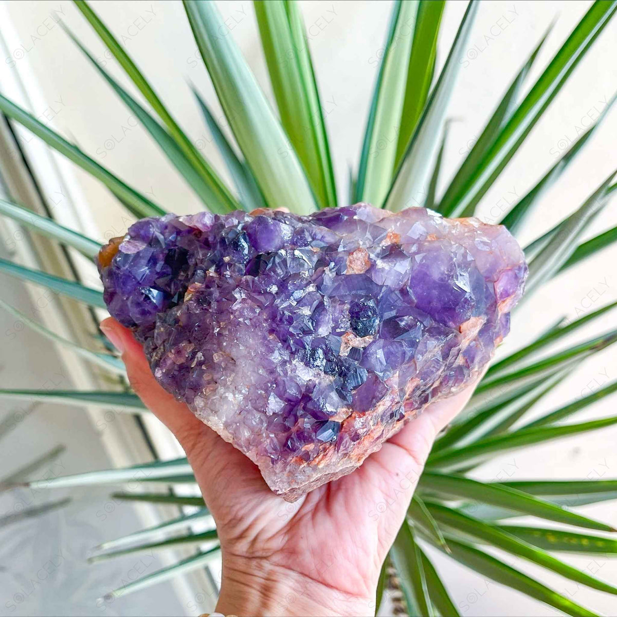 amethyst cluster