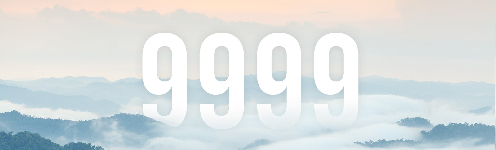 Numerology of 9999