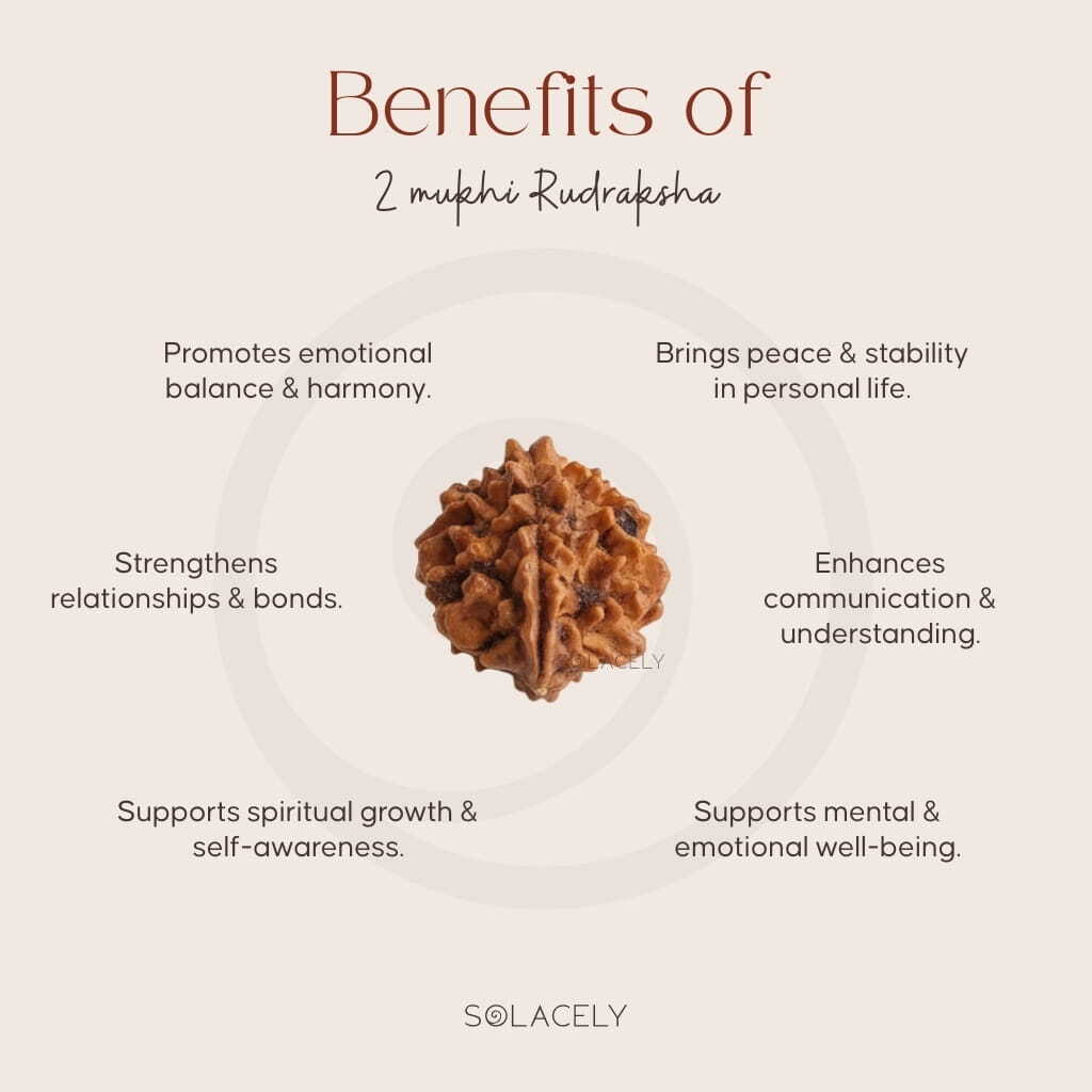 Benefits of 2 Mukhi Rudraksha