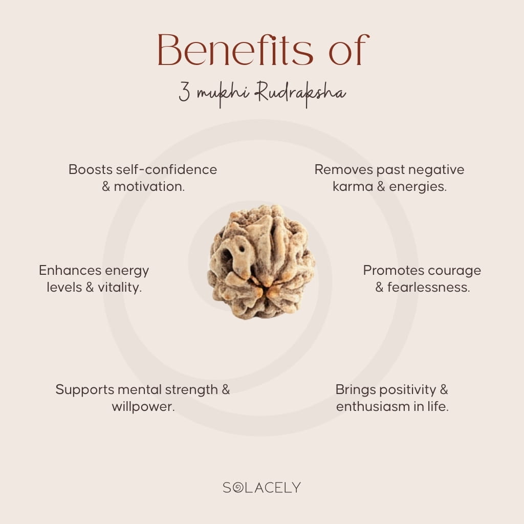 Benefits of 3 Mukhi Rudraksha