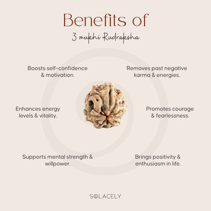 Benefits of 3 Mukhi Rudraksha