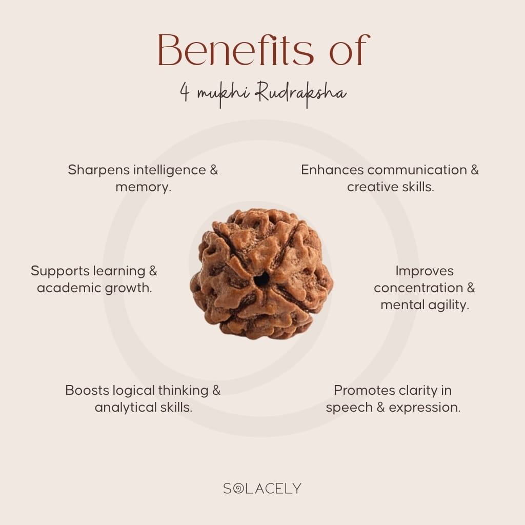 Benefits of 4 Mukhi Rudraksha