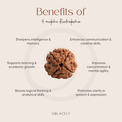 Benefits of 4 Mukhi Rudraksha