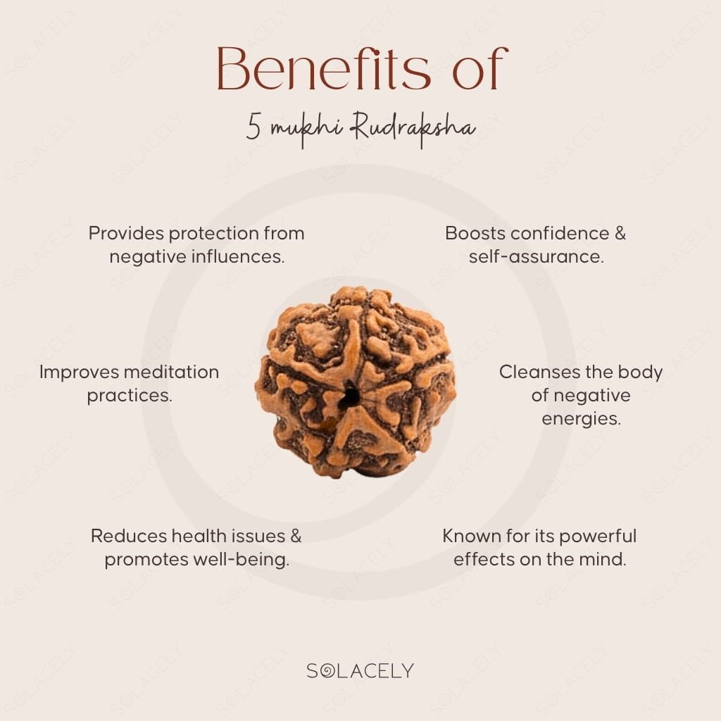 Benefits of 5 Mukhi Rudraksha