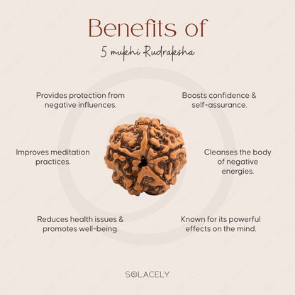 Benefits of 5 Mukhi Rudraksha
