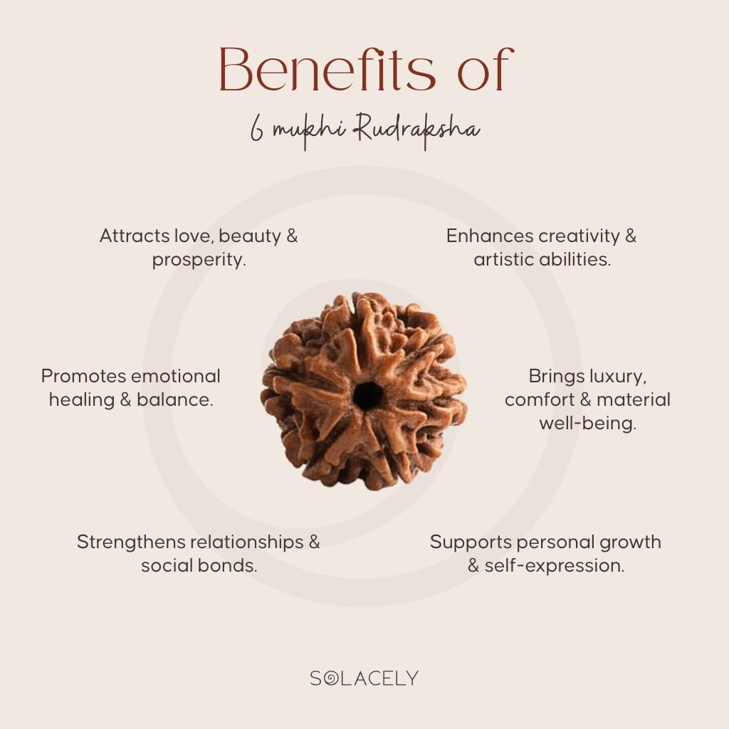 Benefits of 6 Mukhi Rudraksha