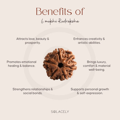 Benefits of 6 Mukhi Rudraksha