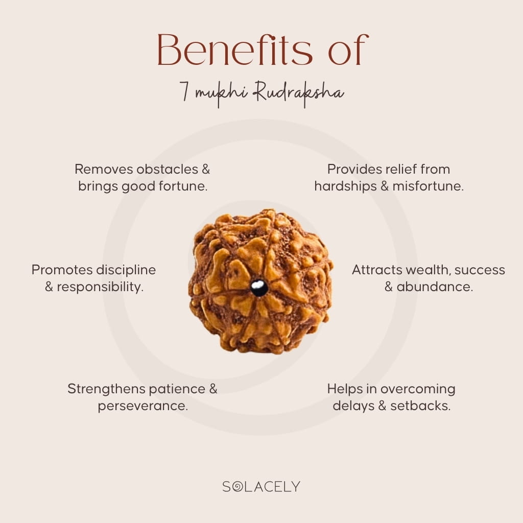 Benefits of 7 Mukhi Rudraksha