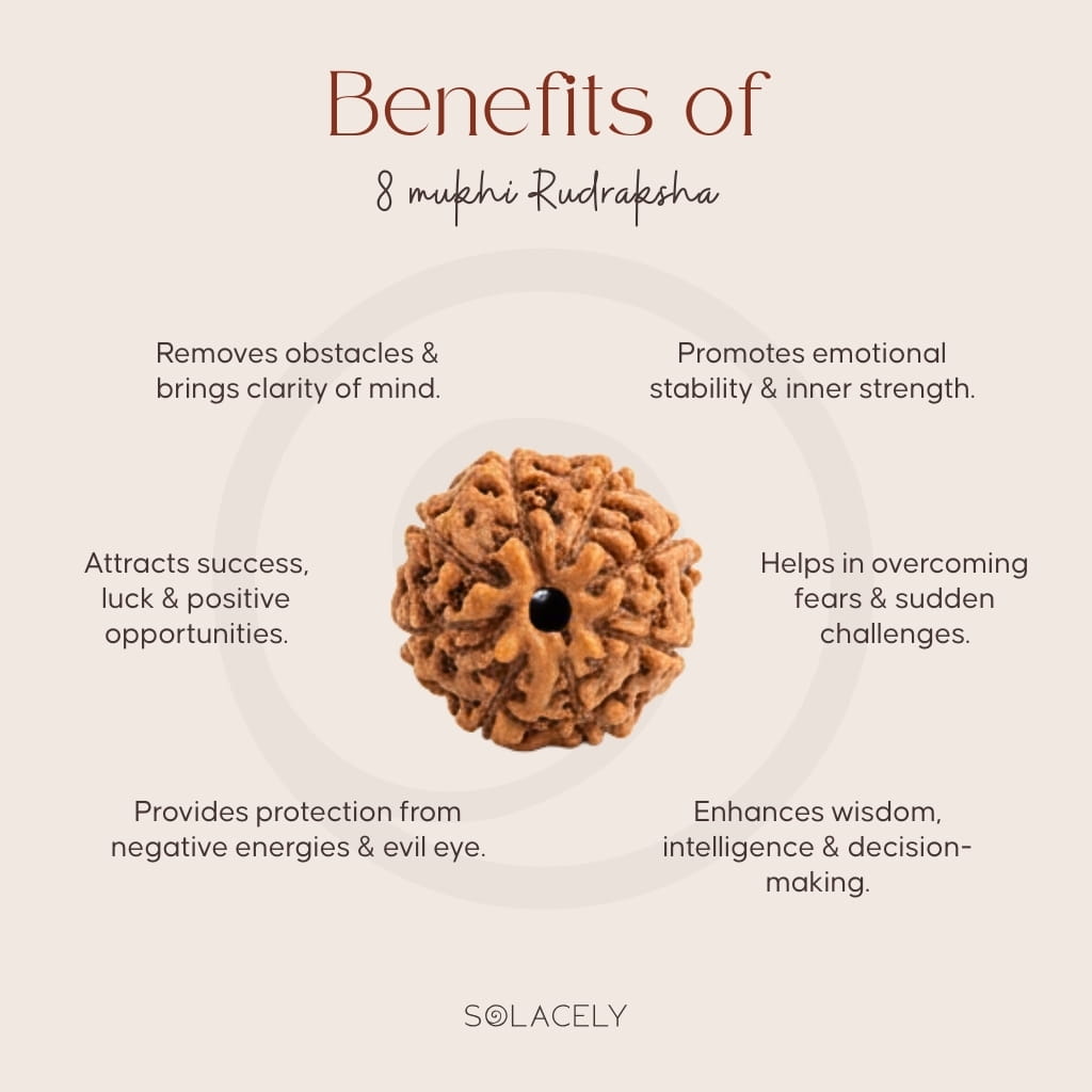Benefits of 8 Mukhi Rudraksha